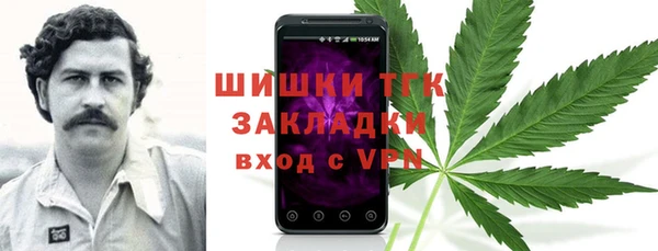 ГАЛЛЮЦИНОГЕННЫЕ ГРИБЫ Алексеевка