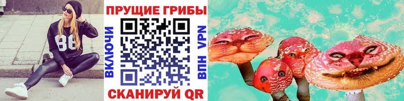 Псилоцибиновые грибы MAGIC MUSHROOMS  дарнет шоп  kraken ТОР  Мирный 
